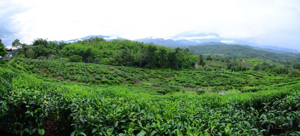 Sabah Tea Resort Ranau Ngoại thất bức ảnh