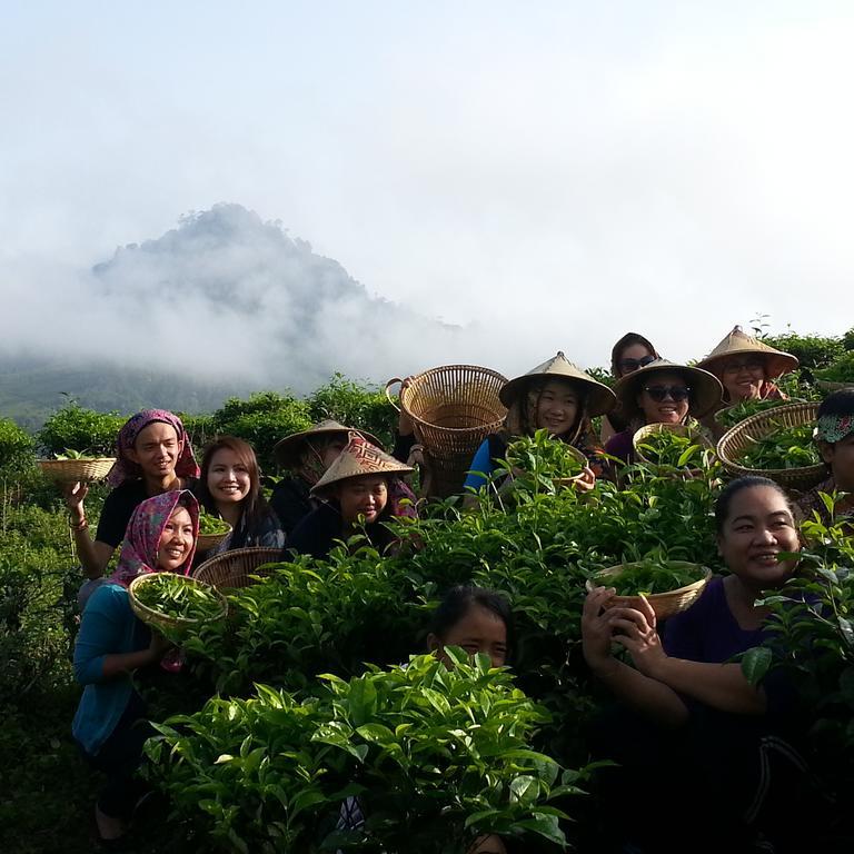 Sabah Tea Resort Ranau Ngoại thất bức ảnh