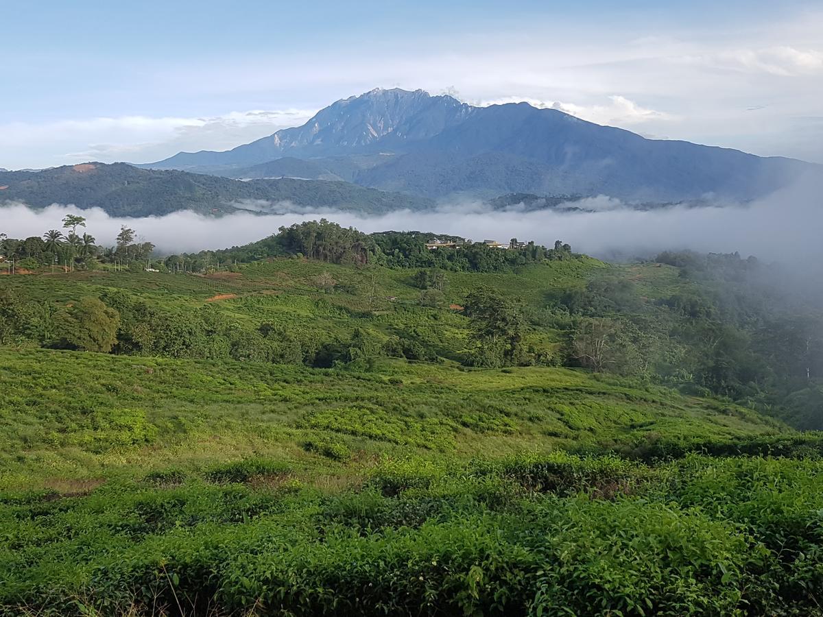 Sabah Tea Resort Ranau Ngoại thất bức ảnh