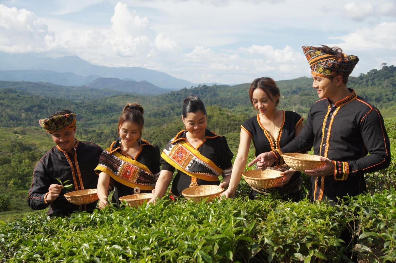 Sabah Tea Resort Ranau Ngoại thất bức ảnh