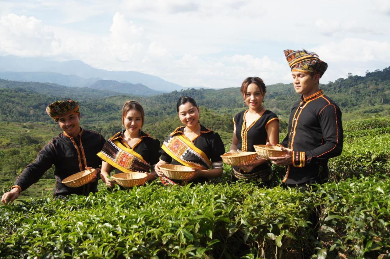 Sabah Tea Resort Ranau Ngoại thất bức ảnh
