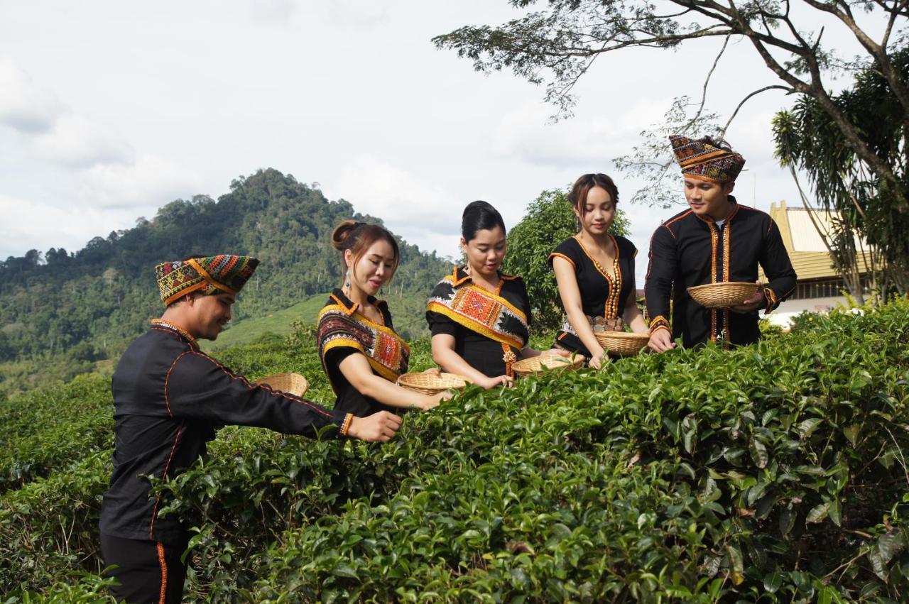 Sabah Tea Resort Ranau Ngoại thất bức ảnh
