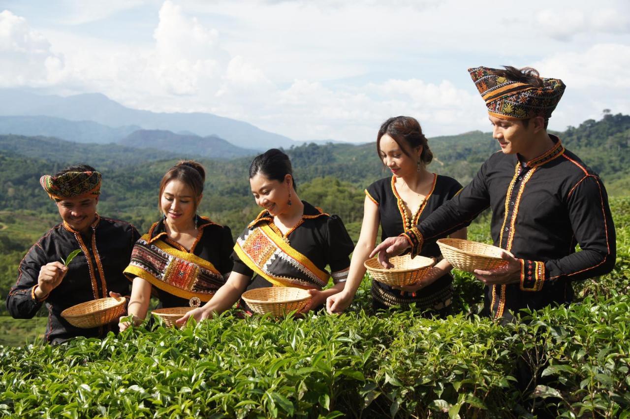 Sabah Tea Resort Ranau Ngoại thất bức ảnh