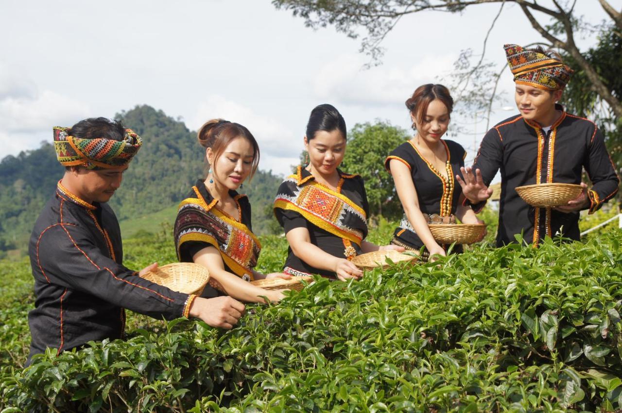 Sabah Tea Resort Ranau Ngoại thất bức ảnh